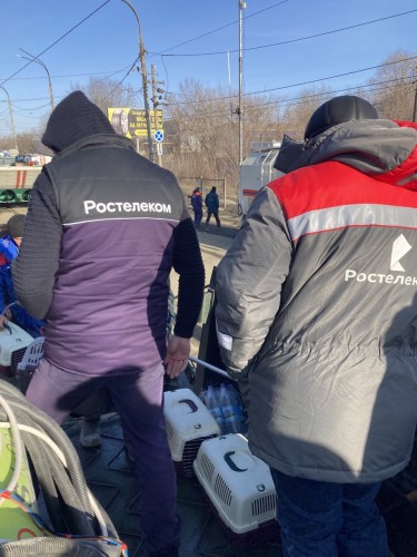 «Ростелеком» обеспечил бесперебойную связь в пострадавшем от стихии Оренбуржье «Ростелеком» обеспечил бесперебойную связь в пострадавшем от стихии Оренбуржье