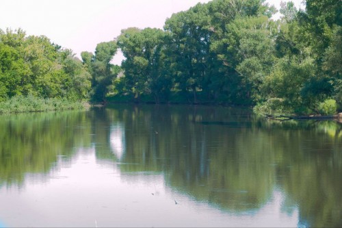 Денис Паслер: выделил средства на приобретение дополнительных препаратов для дезинсекции