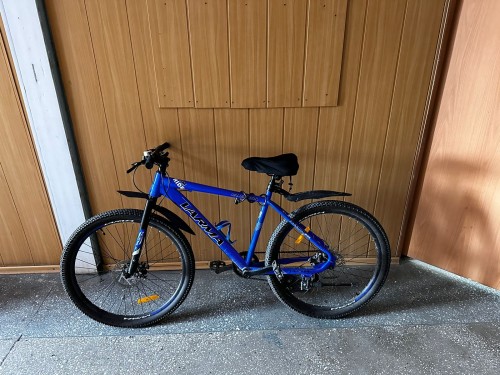 В Оренбурге полицейские за кражу велосипеда задержали местную жительницу В Оренбурге полицейские за кражу велосипеда задержали местную жительницу