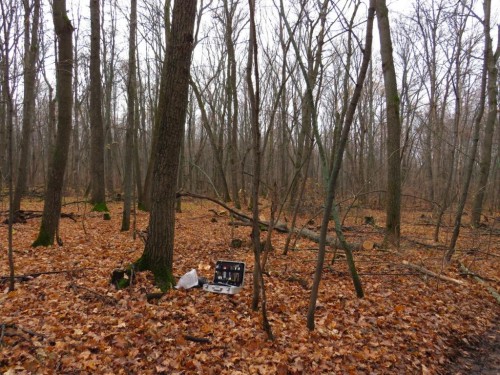 В Оренбуржье задержали "чёрного" лесоруба В Оренбуржье задержали "чёрного" лесоруба