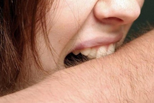 Суд огласил приговор в отношении оренбуржца, покусавшего свою супругу Суд огласил приговор в отношении оренбуржца, покусавшего свою супругу