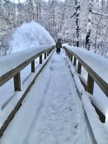 Бузулукский бор завалило снегом