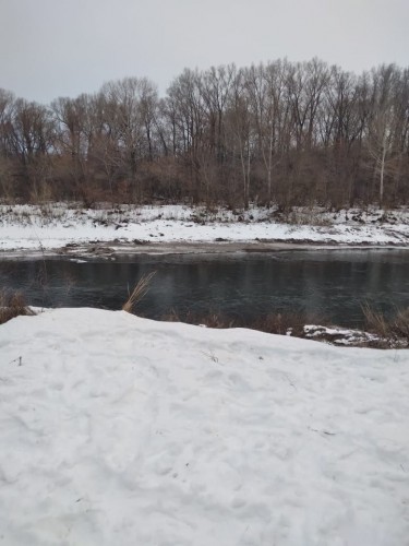 В Саракташском районе задержан рыбак-браконьер с электроудочкой