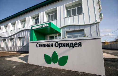 В 2025 году в Оренбургской области создадут шесть модельных библиотек