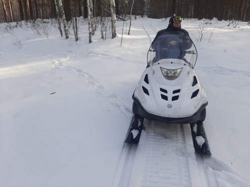 В Бузулукском бору стартовала "перепись" обитателей