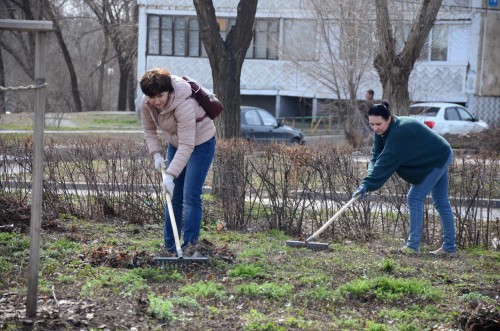 В Оренбурге пройдет весенний месячник благоустройства и озеленения В Оренбурге пройдет весенний месячник благоустройства и озеленения
