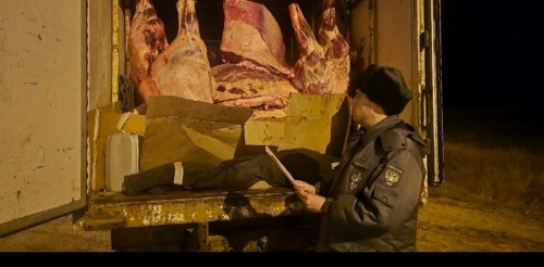 Из Оренбургской области не выпустили в Казахстан более 2 тонн мяса конины