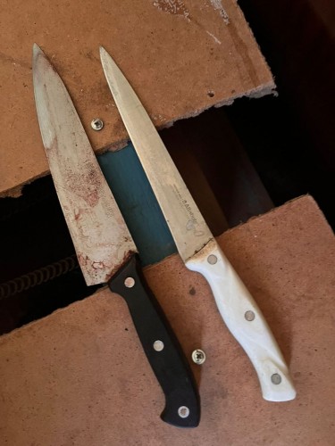 В Медногорске ревнивец зарезал мужчину и женщину В Медногорске ревнивец зарезал мужчину и женщину