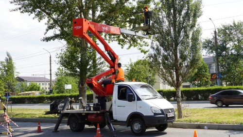 В Оренбурге продолжается санитарная обрезка деревьев В Оренбурге продолжается санитарная обрезка деревьев