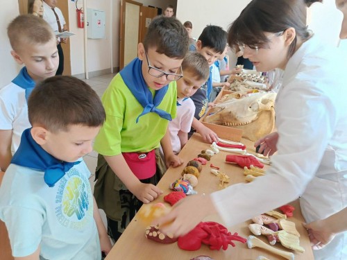 Летний проект «Каникулы с пользой» помогает юным оренбуржцам получить полезные навыки