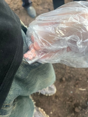 В Оренбурге сотрудники патрульно-постовой службы задержали подростка из Ташлы с наркотиками В Оренбурге сотрудники патрульно-постовой службы задержали подростка из Ташлы с наркотиками