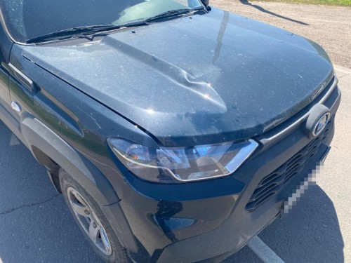 В Саракташском районе девочка вышла на дорогу и попала под машину