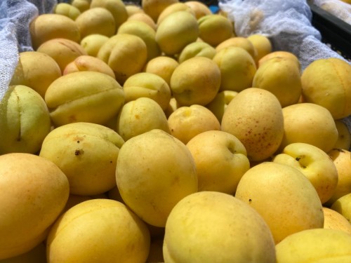 В Оренбуржье выявлено 20 тонн зараженных абрикосов из Киргизии В Оренбуржье выявлено 20 тонн зараженных абрикосов из Киргизии