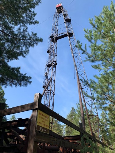 В Бузулукском бору рассказали о работе "вышкаря" В Бузулукском бору рассказали о работе "вышкаря"