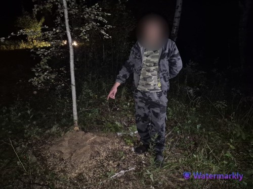 В Шарлыке полицейские задержали подозреваемого в незаконной вырубке леса В Шарлыке полицейские задержали подозреваемого в незаконной вырубке леса