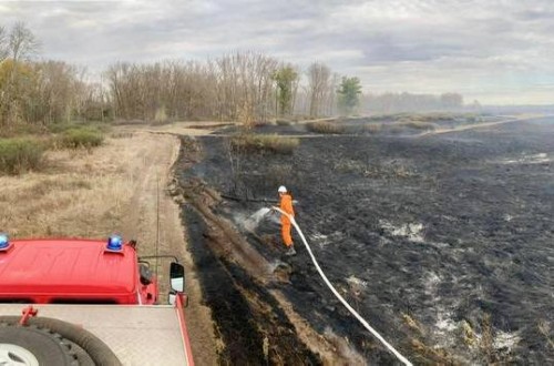 В Оренбуржье ликвидировали пожар, угрожавший Бузулукскому бору