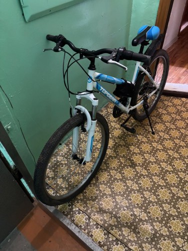 В Орске поймали ранее судимого похитителя велосипеда В Орске поймали ранее судимого похитителя велосипеда