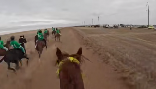12-летний мальчик из Оренбуржья выиграл автомобиль на конных соревнованиях