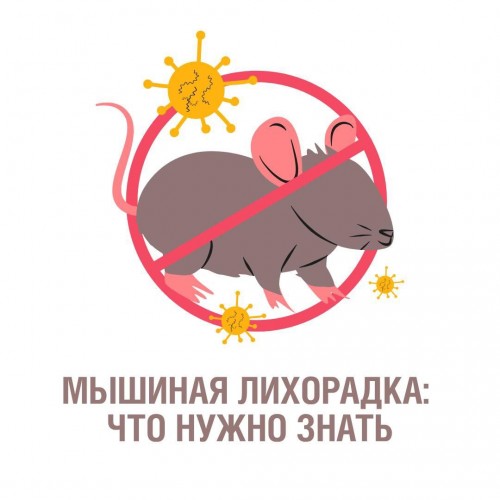 Жителей Оренбуржья предупреждают о рисках заражения геморрагической лихорадкой осенью