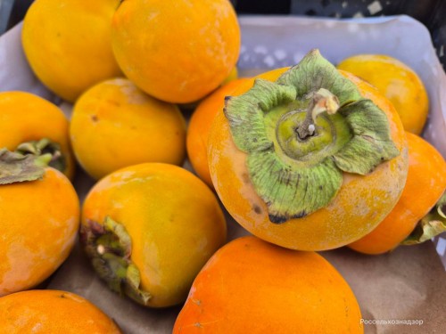 В Оренбуржье не пустили 26 тонн хурмы В Оренбуржье не пустили 26 тонн хурмы