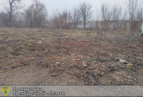 В Оренбургском районе незаконно продали земельные участки В Оренбургском районе незаконно продали земельные участки
