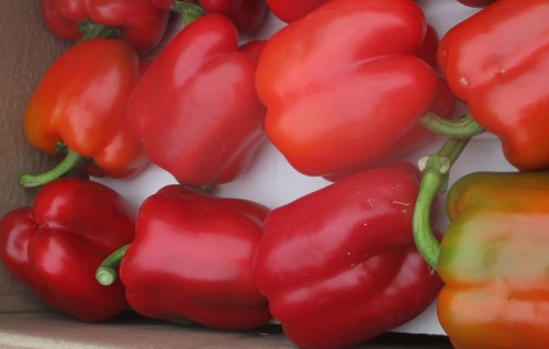 В Оренбуржье забраковали 17,4 тонн перца из Узбекистана В Оренбуржье забраковали 17,4 тонн перца из Узбекистана