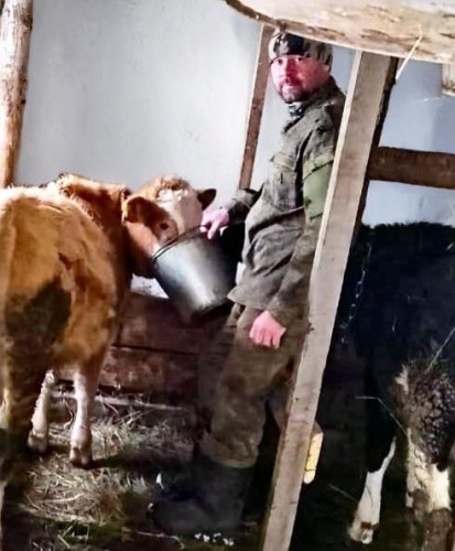 Оренбургская служба занятости в этом году помогла с трудоустройством 165 участникам СВО и их близким