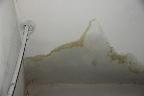 Оренбуржец судится с управляющей компанией из-за протекающей крыши