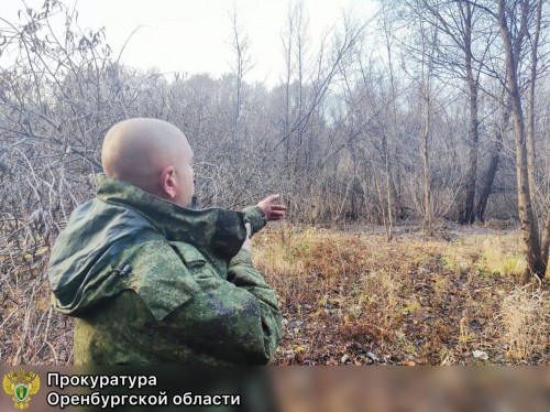 В Оренбурге охотник предстанет перед судом после случайного убийства товарища
