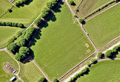 В 19 муниципальных образованиях Оренбуржья бесплатно установят границы земельных участков