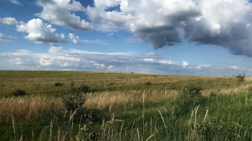 В Оренбуржье владельцы 23 заброшенных участков получат пятикратное увеличение налога