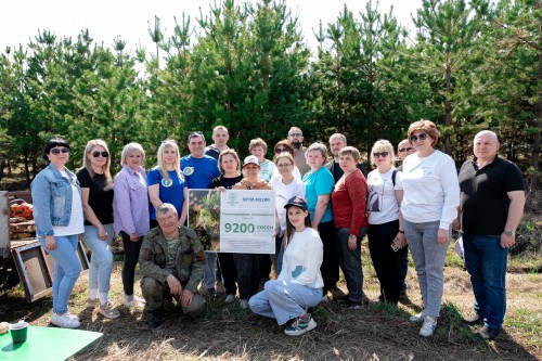  Благодаря пожертвованиям оренбуржцев в Пономарёвком районе растёт лес из 9 000 сосен