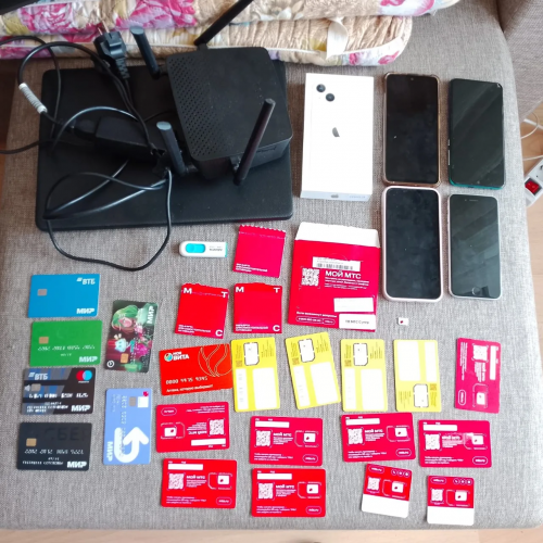 В Оренбуржье поймали кибермошенника, который взламывал аккаунты «Госуслуг»