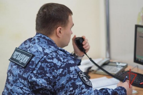 В Октябрьском росгвардейцы задержали нарушителя покоя 