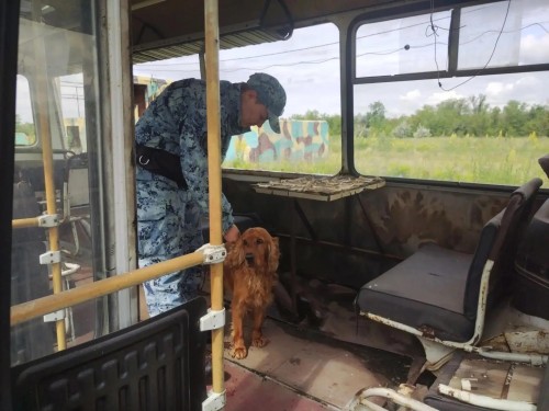 В Оренбуржье прошли соревнования полицейских кинологов