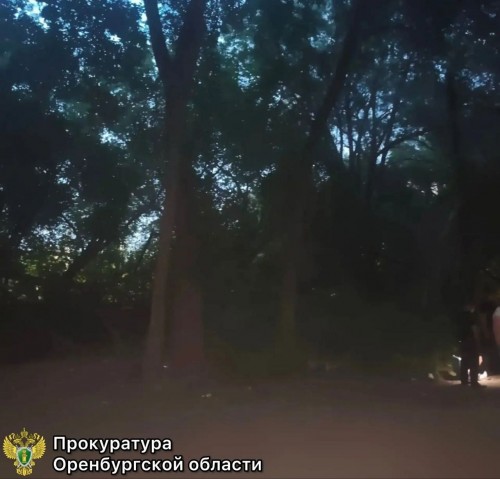В Орске погиб 15-летний подросток, возможно надышался газом В Орске погиб 15-летний подросток, возможно надышался газом