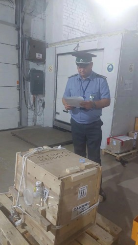 Под контролем Россельхознадзора в Оренбургскую область прибыла капибара