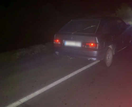В Домбаровском районе автомобиль насмерть сбил 74-летнюю пенсионерку на трассе В Домбаровском районе автомобиль насмерть сбил 74-летнюю пенсионерку на трассе