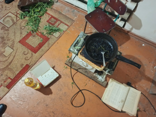 В Адамовском районе у местного жителя изъяли марихуану и гашишное масло