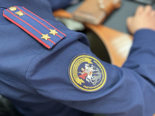 В Оренбурге 16-летний подросток задержан за попытку сбыта наркотиков через интернет