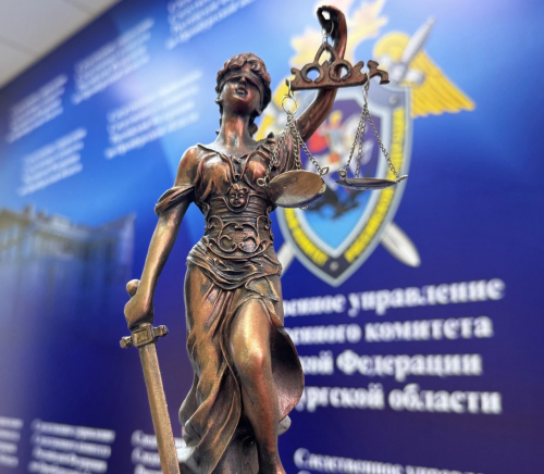 Житель Асекеевского района осуждён за покушение на убийство и убийство
