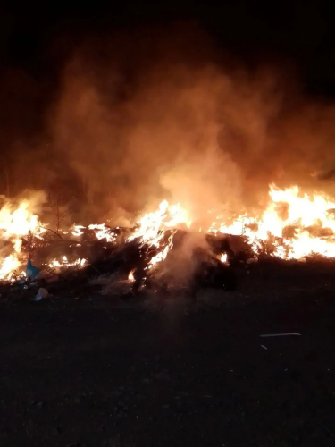 Пожар в окрестностях села Вишнёвое Пожар в окрестностях села Вишнёвое