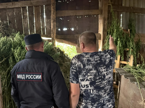 Итоги второго этапа операции «Мак» в Оренбуржье