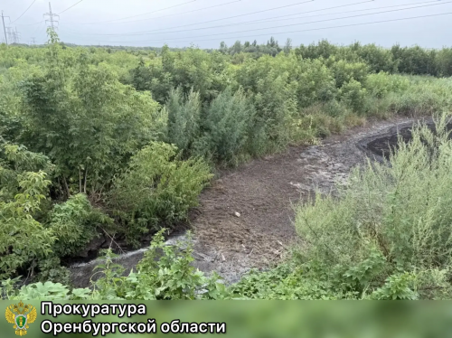 Более 14 млн рублей взыскано с предприятия за вред окружающей среде