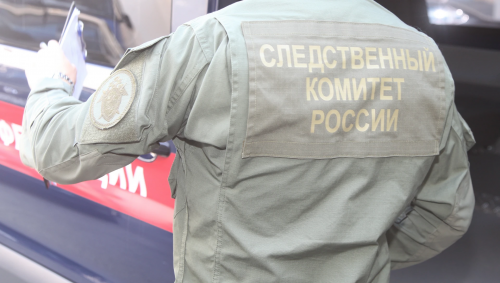 В Оренбурге арестовали фигуранта дела о гибели женщины
