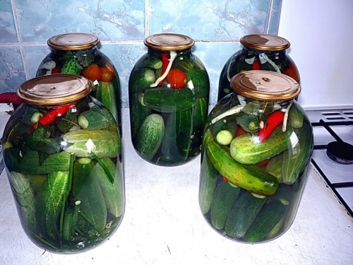 У жителя Асекеево украли алюминиевые фляги, канистру и трехлитровую банку с маринованными овощами