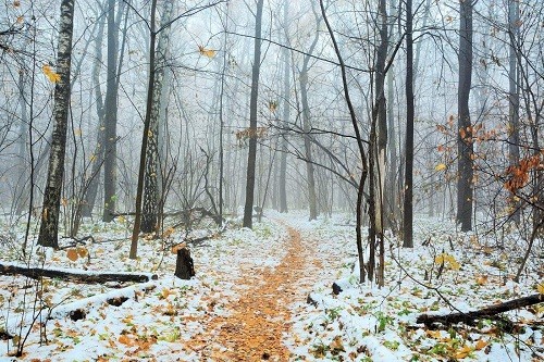 Морозная ночь ожидается в Оренбуржье Морозная ночь ожидается в Оренбуржье