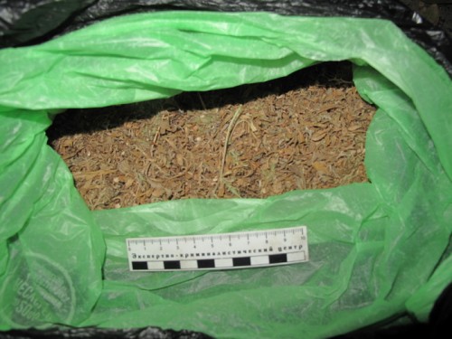 У жителя Ясного изъяли около 300 грамм марихуаны