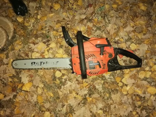 Безработный житель Абдулинского района незаконно срубил два дуба Безработный житель Абдулинского района незаконно срубил два дуба