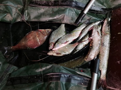 Жители Саракташского района подозреваются в браконьерстве Жители Саракташского района подозреваются в браконьерстве